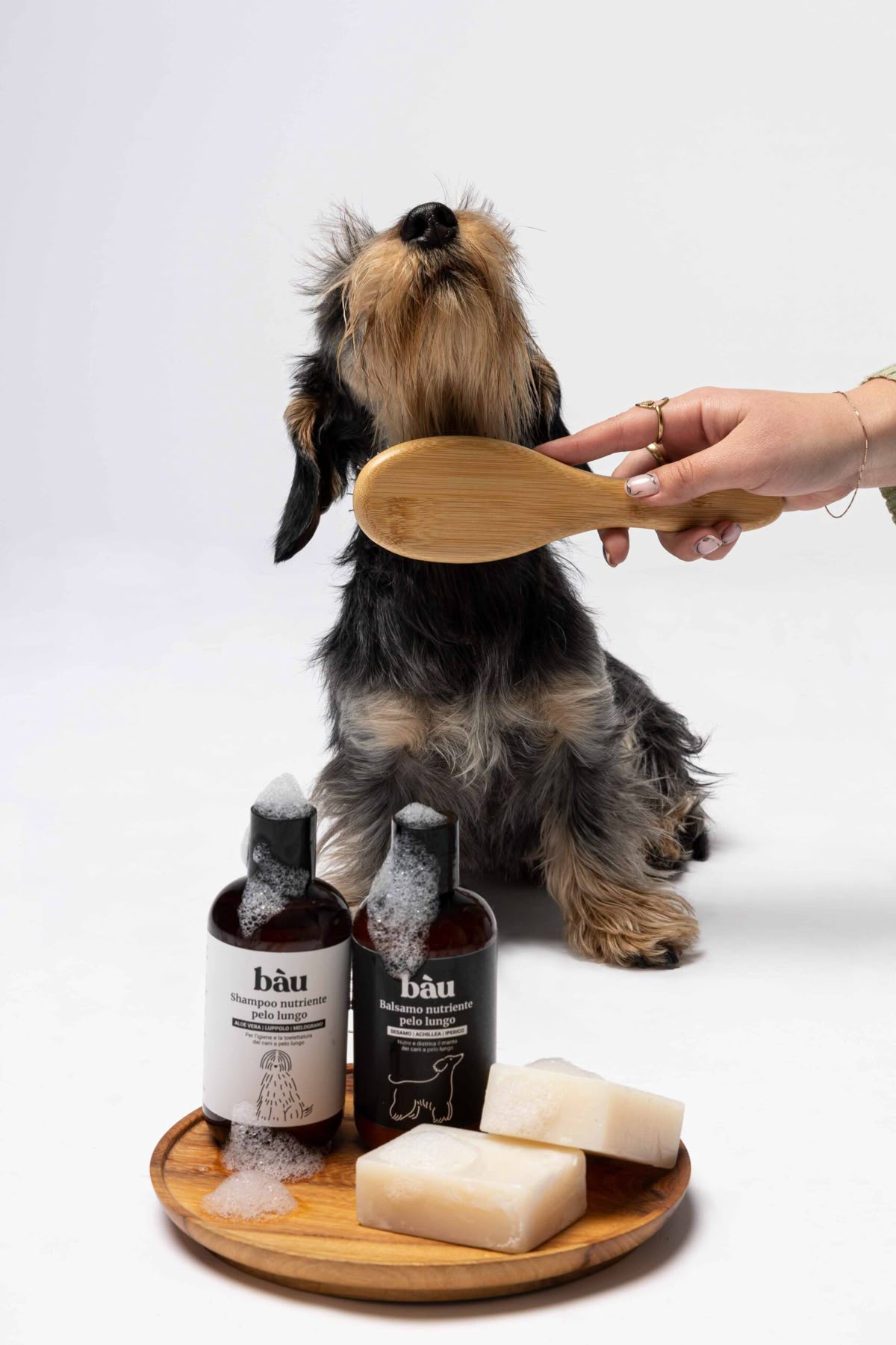 Pet Supplies