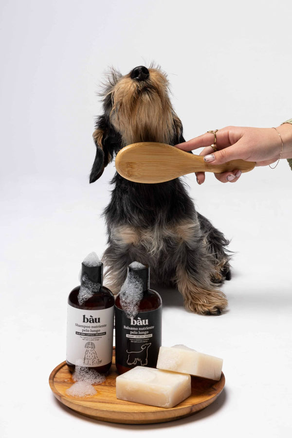 Pet Supplies