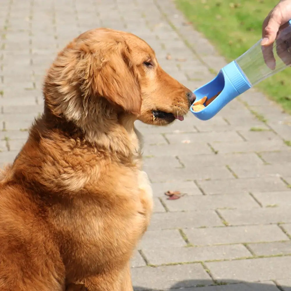 Portable Dog Water Bottle (2-in-1 Travel Feeder)