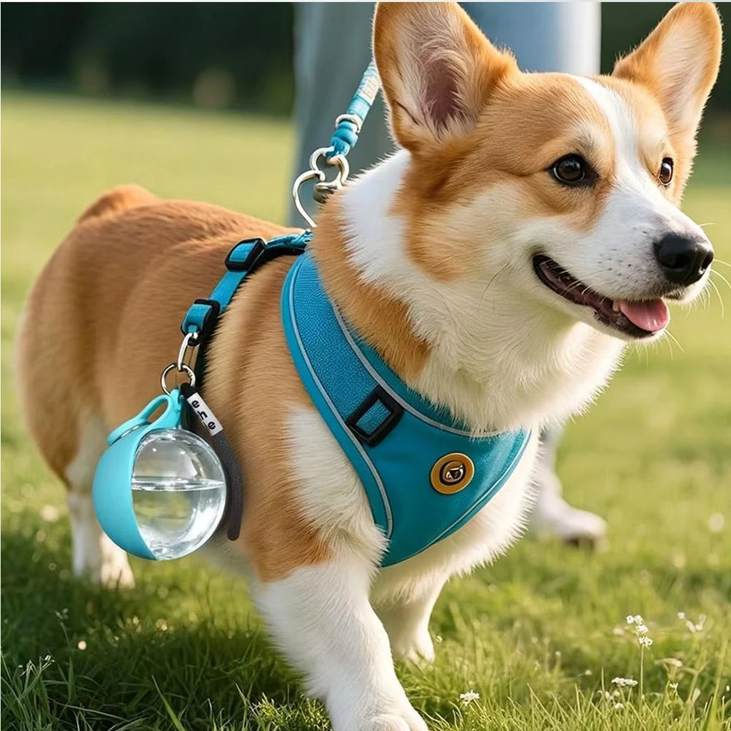 2in1 Portable Dog Water Bottle™