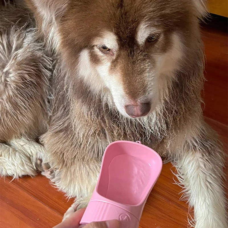 Portable Dog Water Bottle (2-in-1 Travel Feeder)